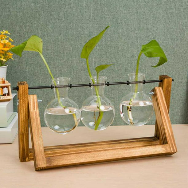 Glass Planter Bulb Vase Desktop Plant Terrarium Kit with Retro Solid Wooden Stand for Hydroponics Plants Home Garden Office Wedding Decor Style A